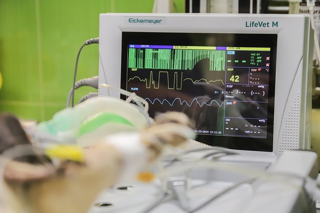 EKG-om se verificira akutni infarkt miokarda („srčani udar“).